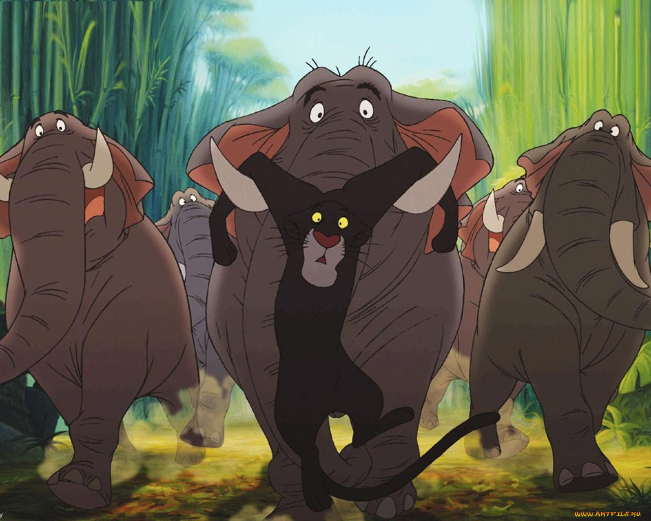, the, jungle, book